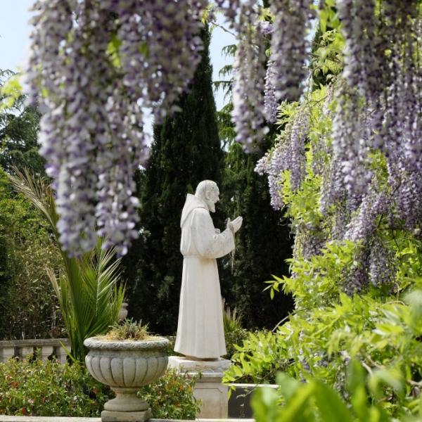 Il giardino